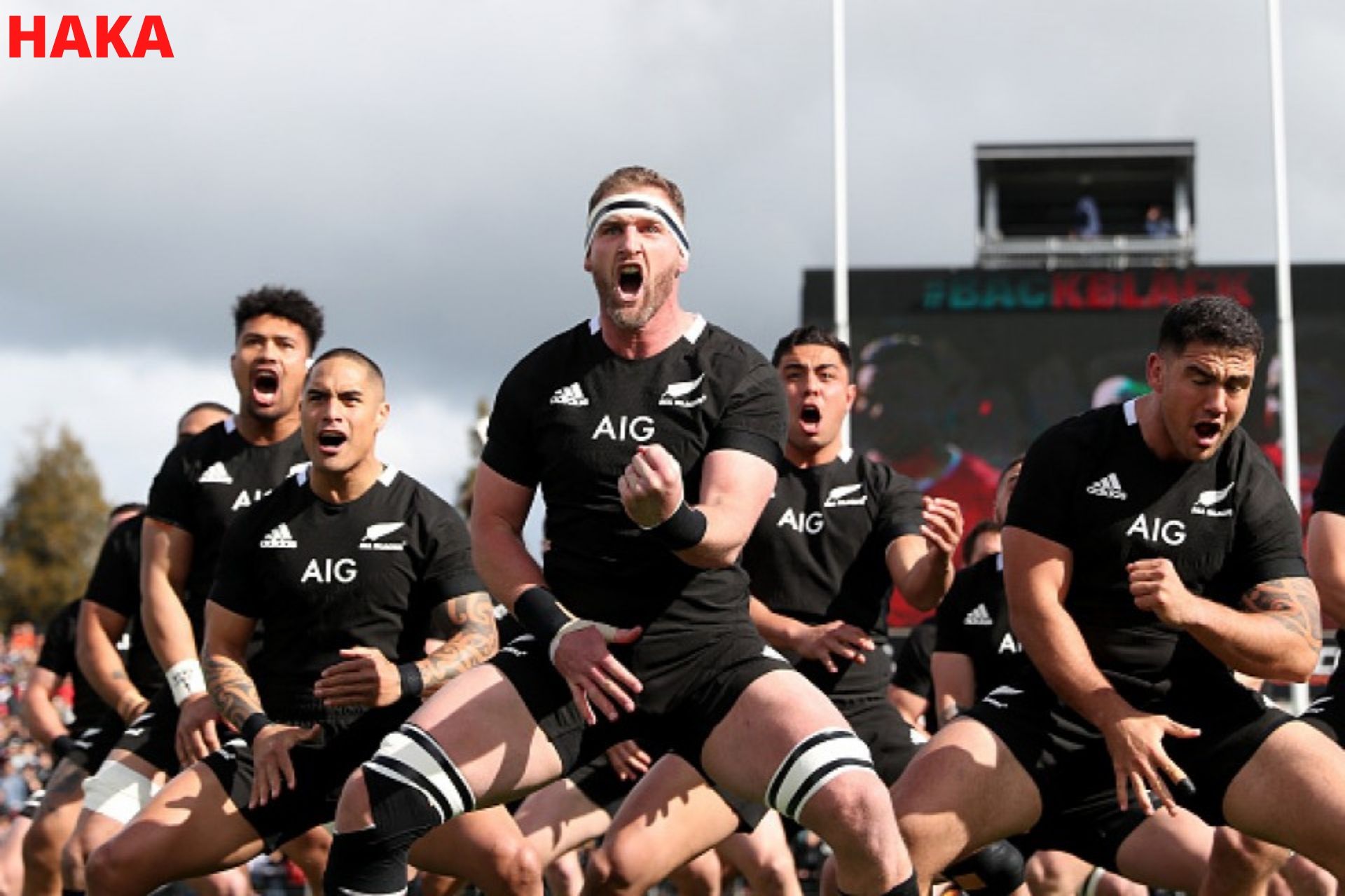 Most Successful Team In The World All Black New Zealand Rugby Team 